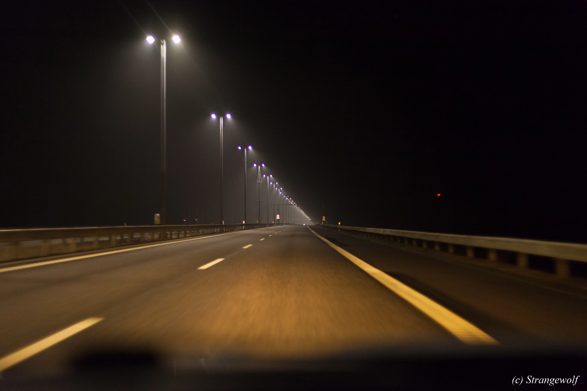 full image IMG_8495-lr19t.jpg