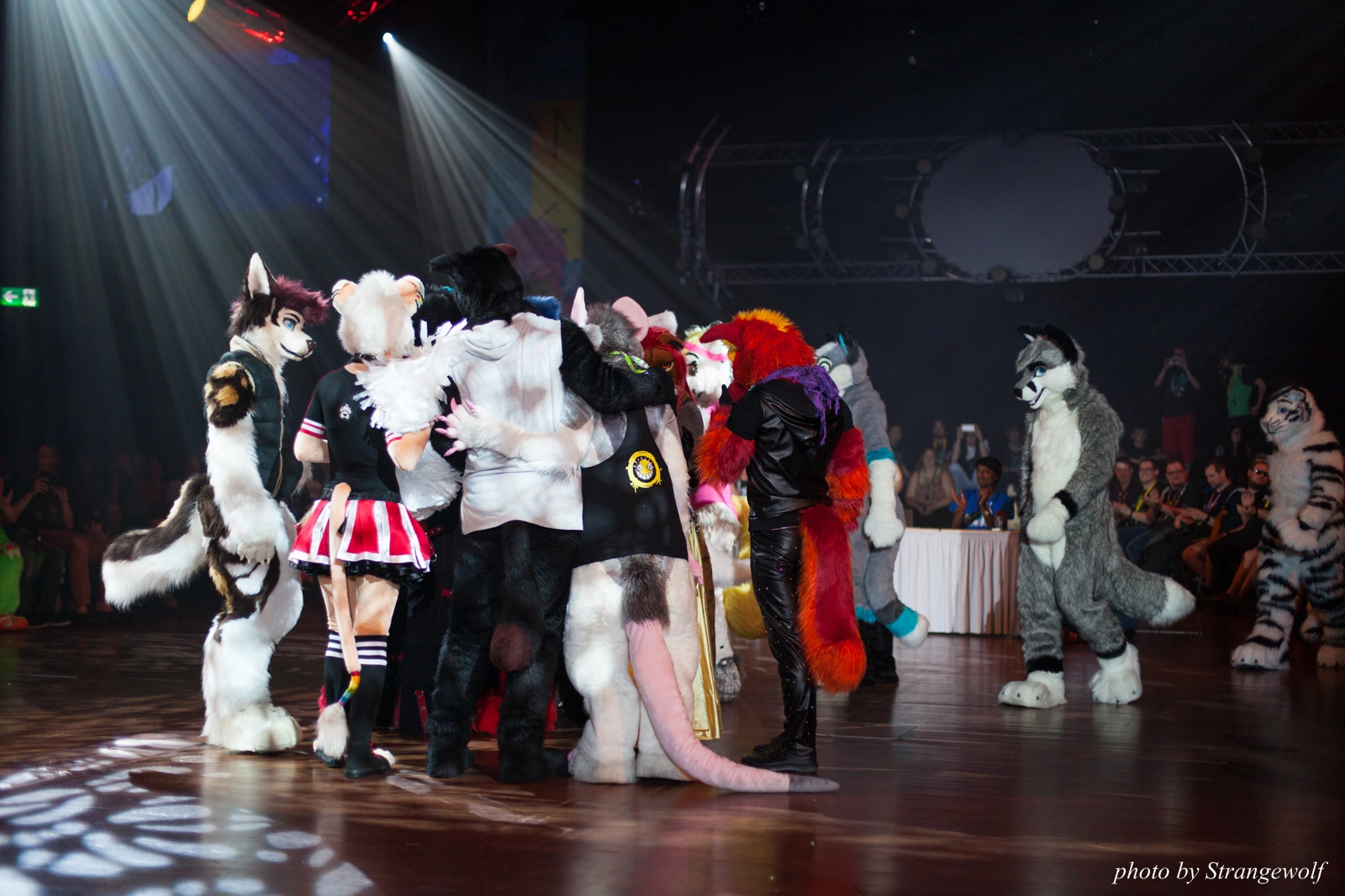 full image IMG_9951-lr16t.jpg