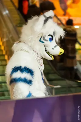 1R3A6497-lr19t.jpg of MFF/MFF2024/