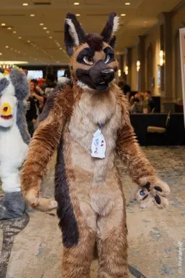 IMG_4543-lr.jpg of TFF/TFF2022/