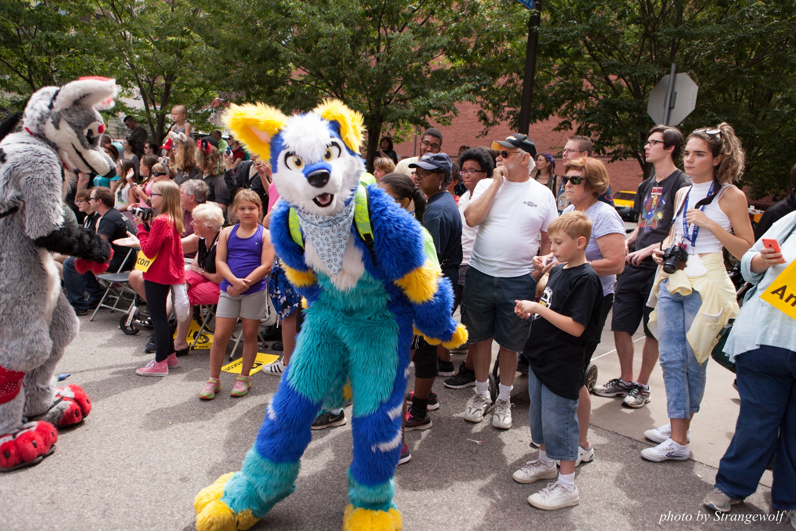full image IMG_8073-lr16t.jpg