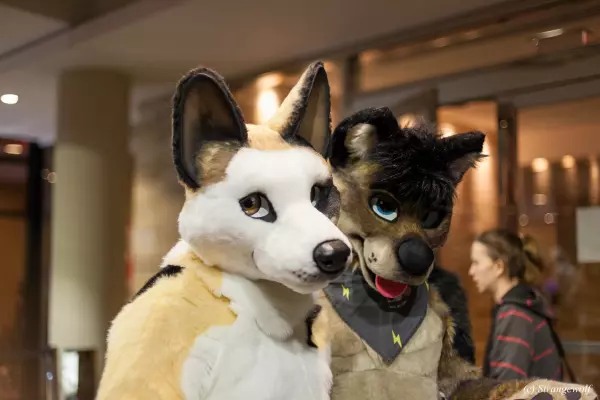 IMG_8110-lr19t.jpg of MFF/MFF2017/