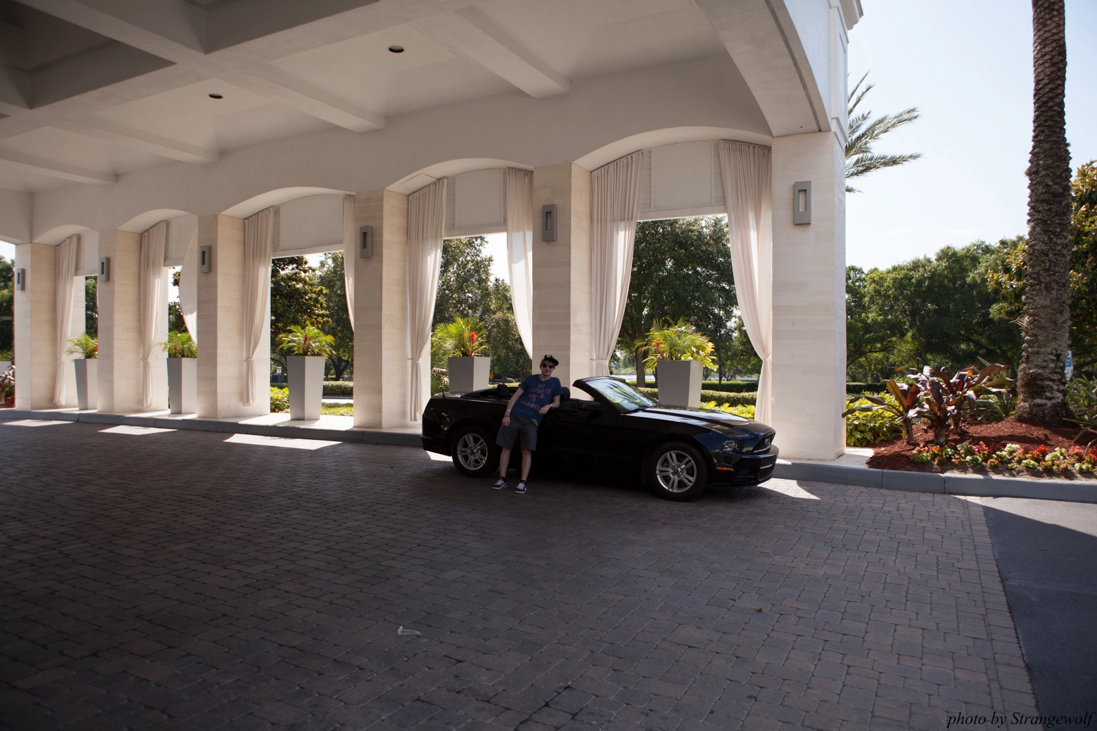 full image IMG_8840-lr16t.jpg