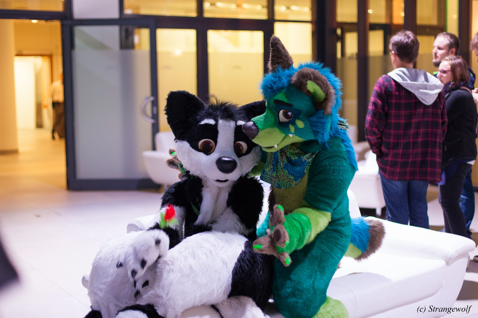 full image IMG_5379-lr19t.jpg