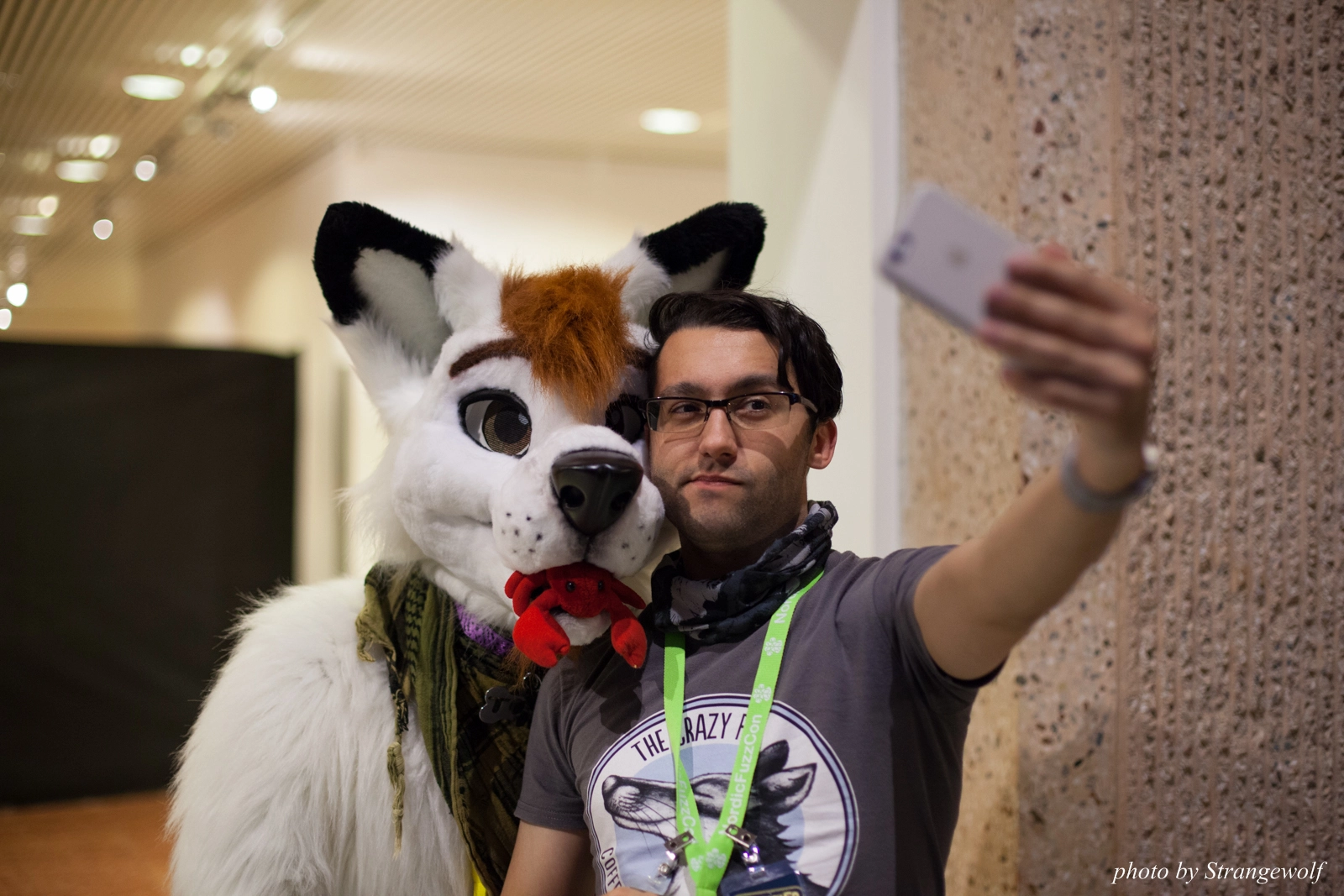 full image IMG_2174-lr16t.jpg