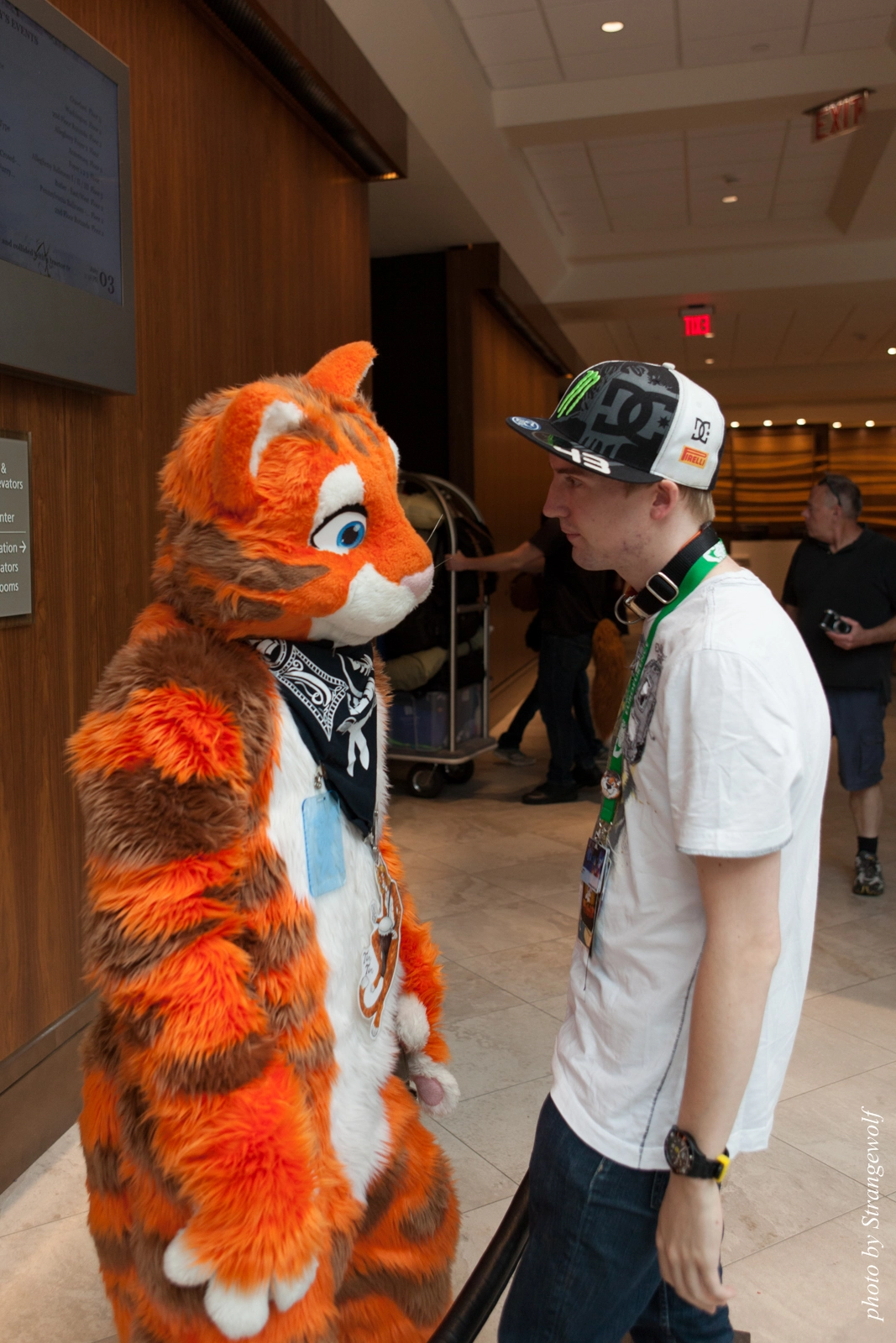 full image IMG_8150-lr16t.jpg