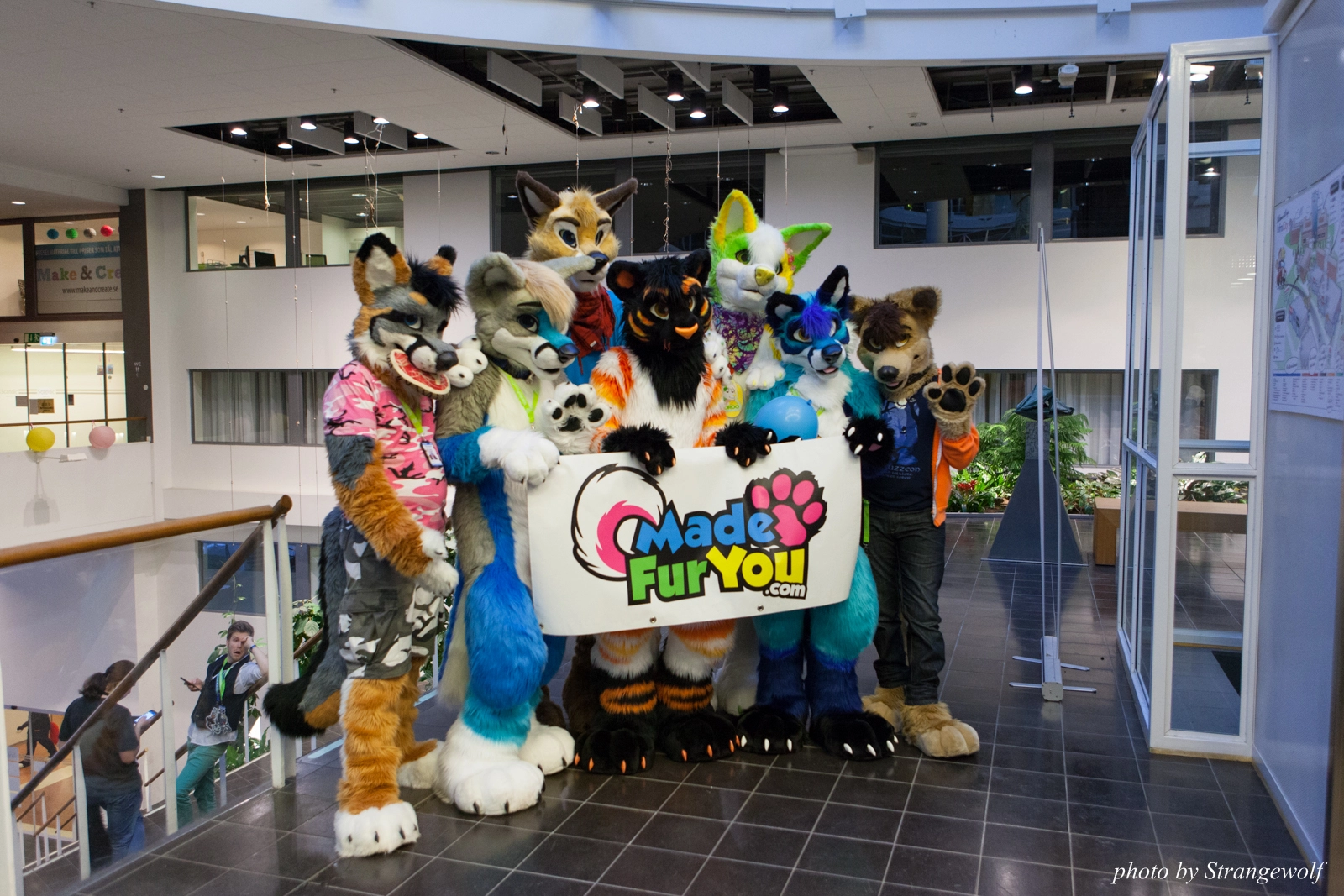 full image IMG_1734-lr16t.jpg