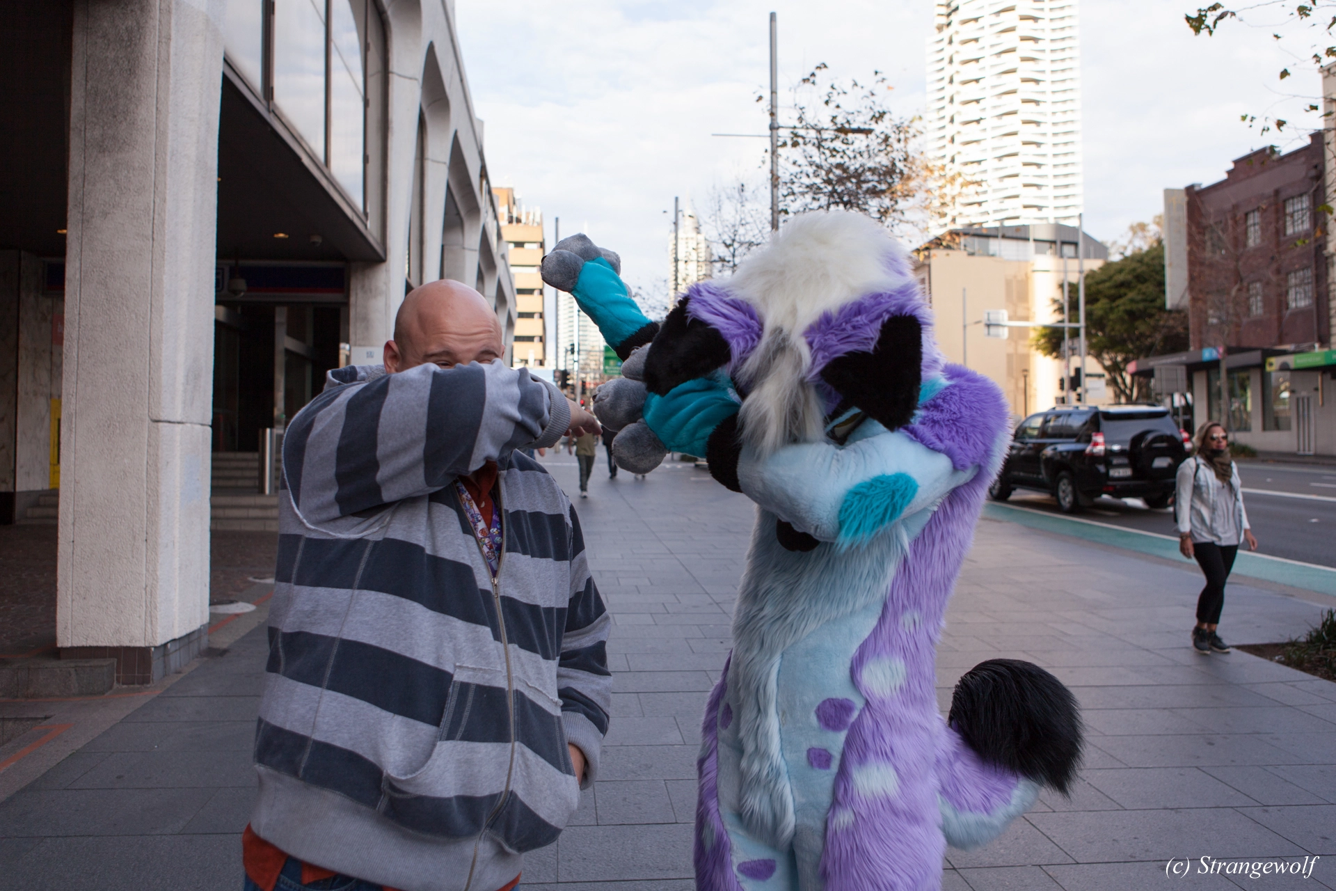 full image IMG_4554-lr19t.jpg