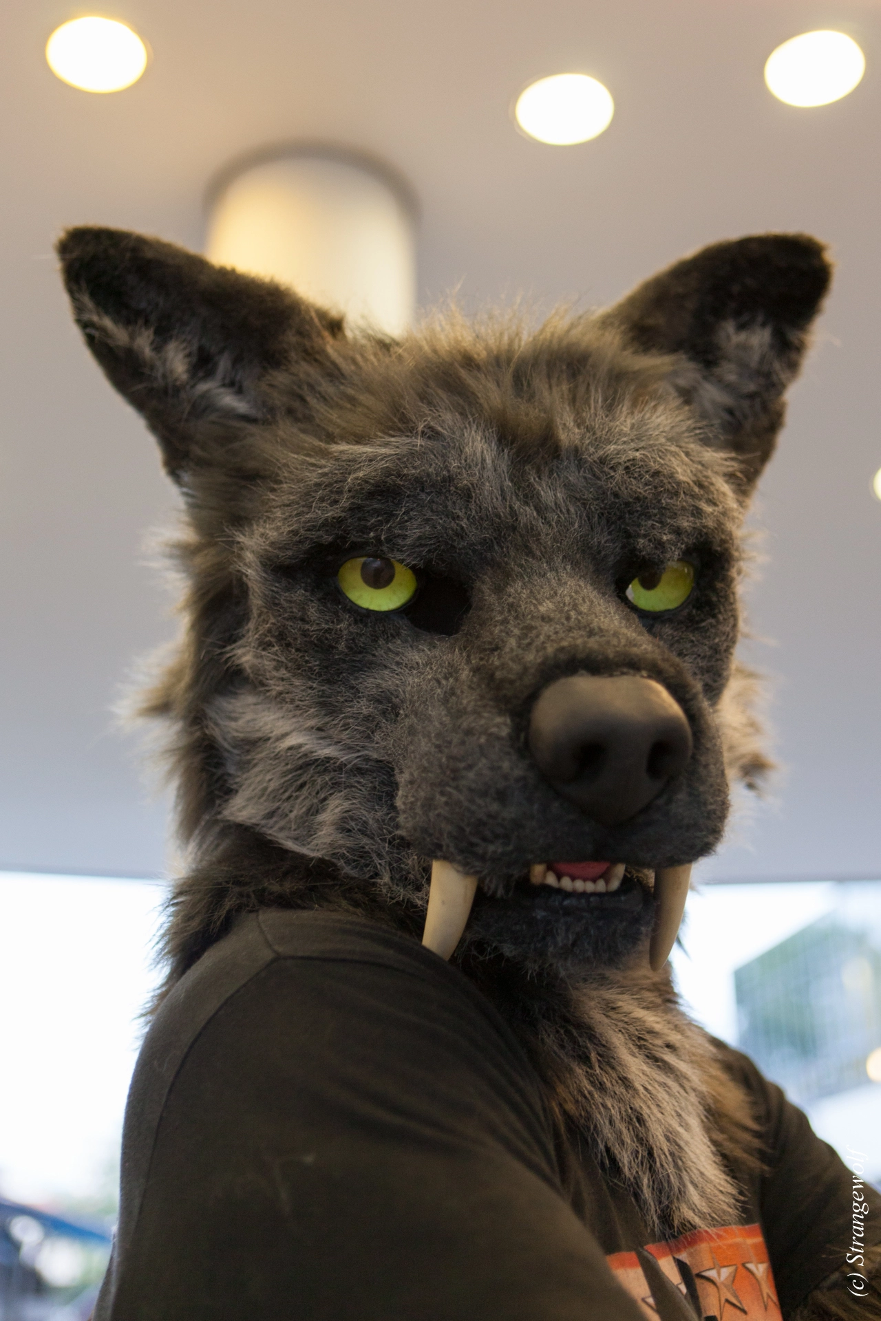 full image IMG_5090-lr19t.jpg