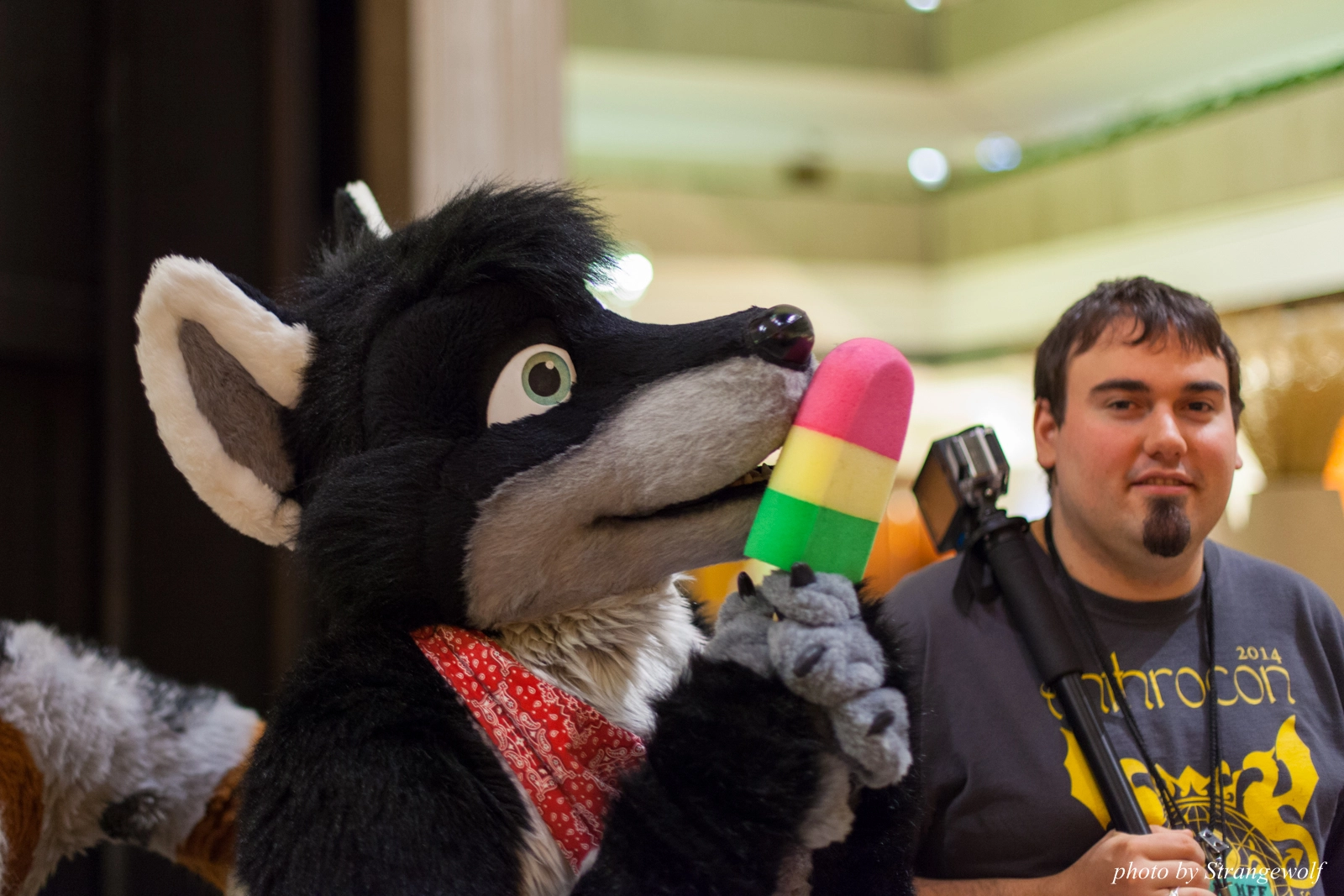 full image IMG_0755-lr16t.jpg