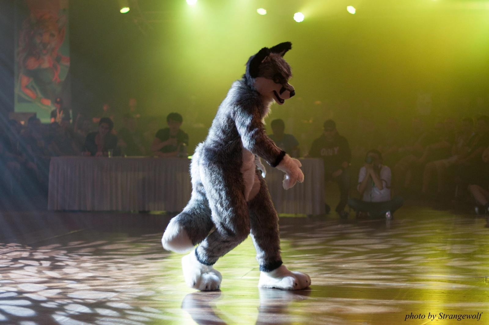full image IMG_9292-lr16t.jpg