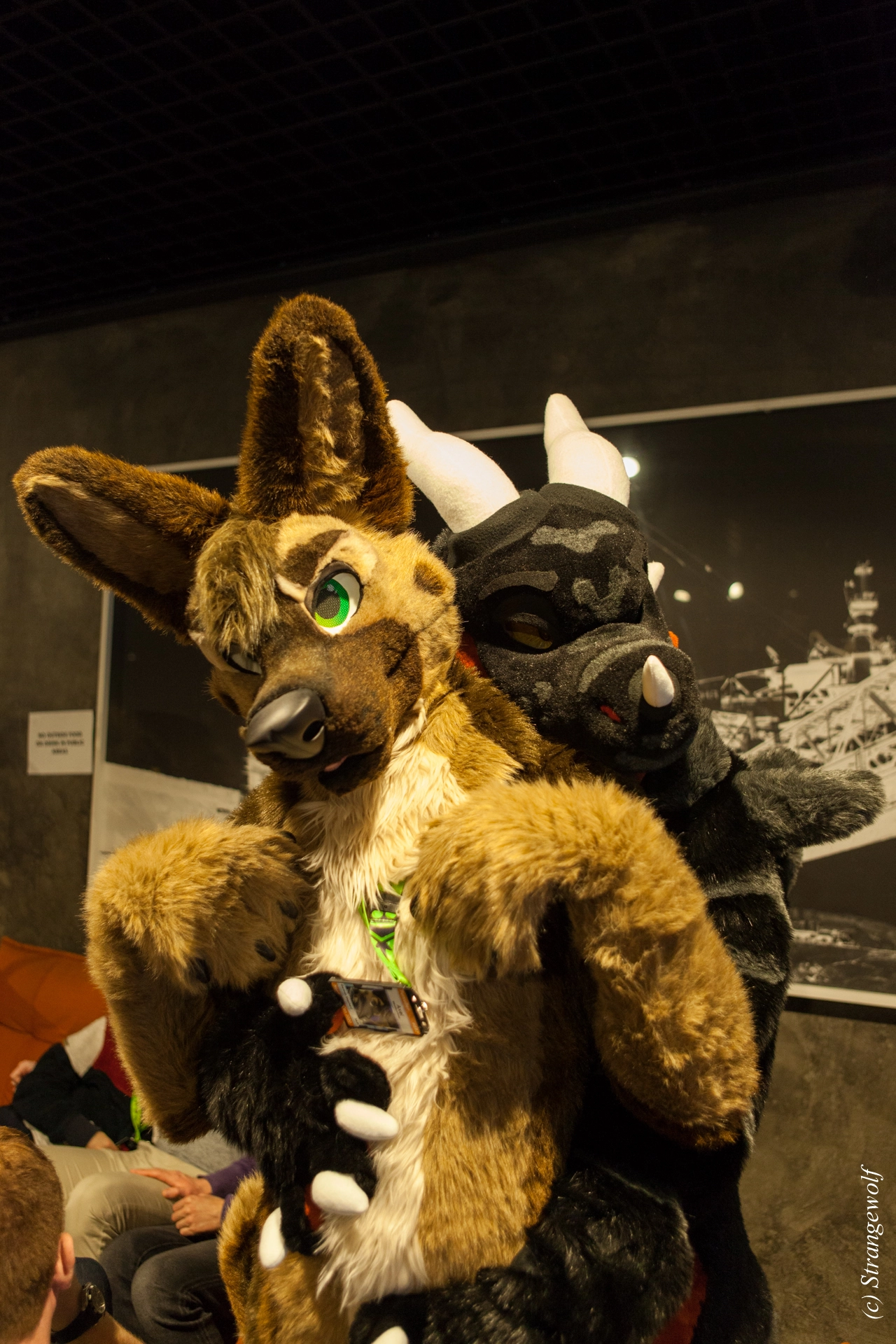 full image IMG_8963-lr19t.jpg