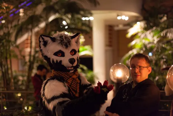 IMG_1585-lr16t.jpg of NFC/NFC2017/