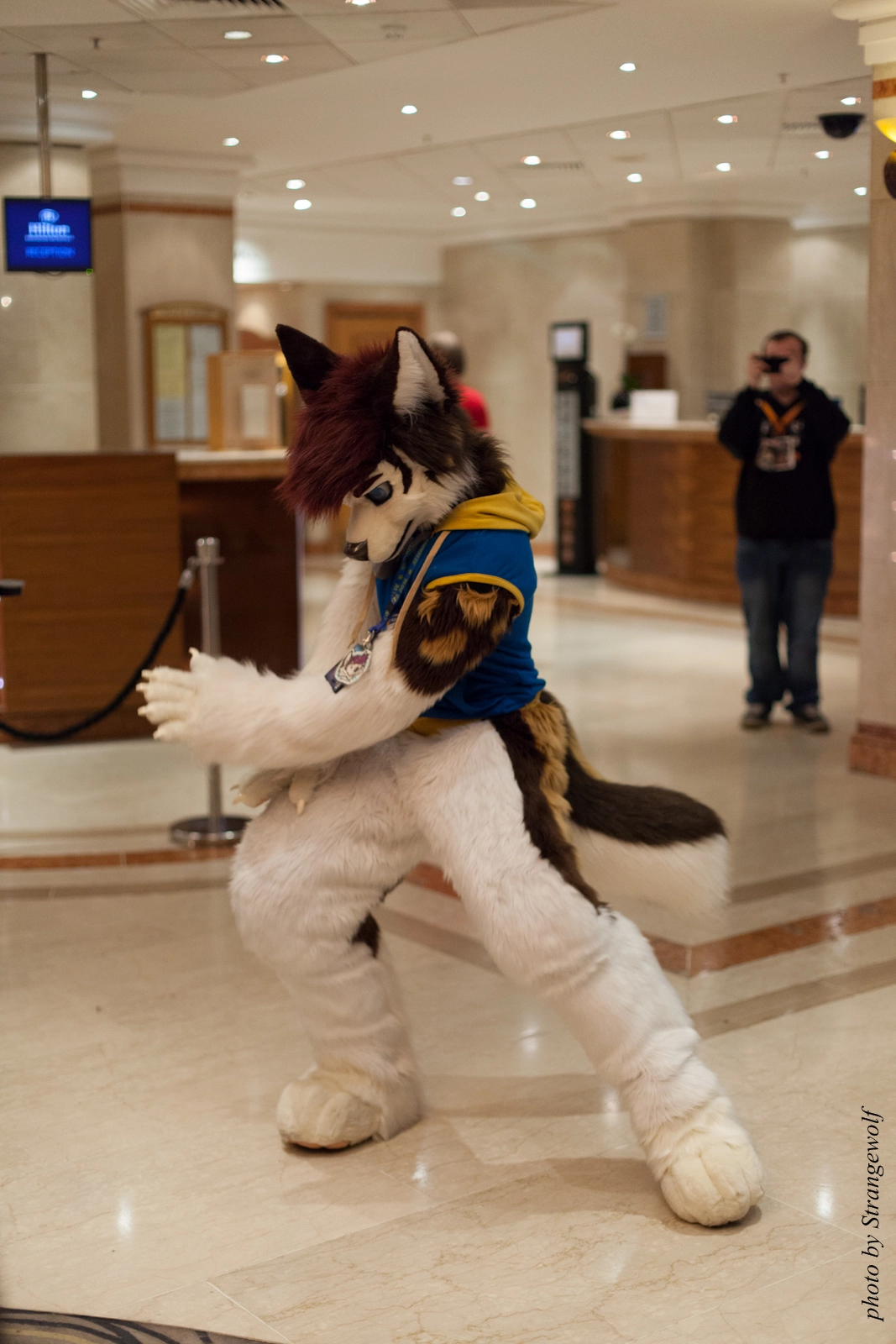 full image IMG_7604-lr16t.jpg