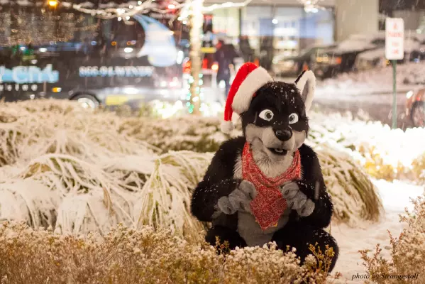 IMG_0833-lr16t.jpg of MFF/MFF2016/