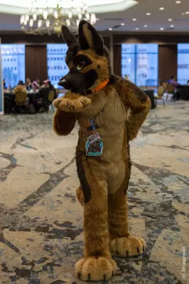 IMG_4171-lr19t.jpg of TFF/TFF2022/