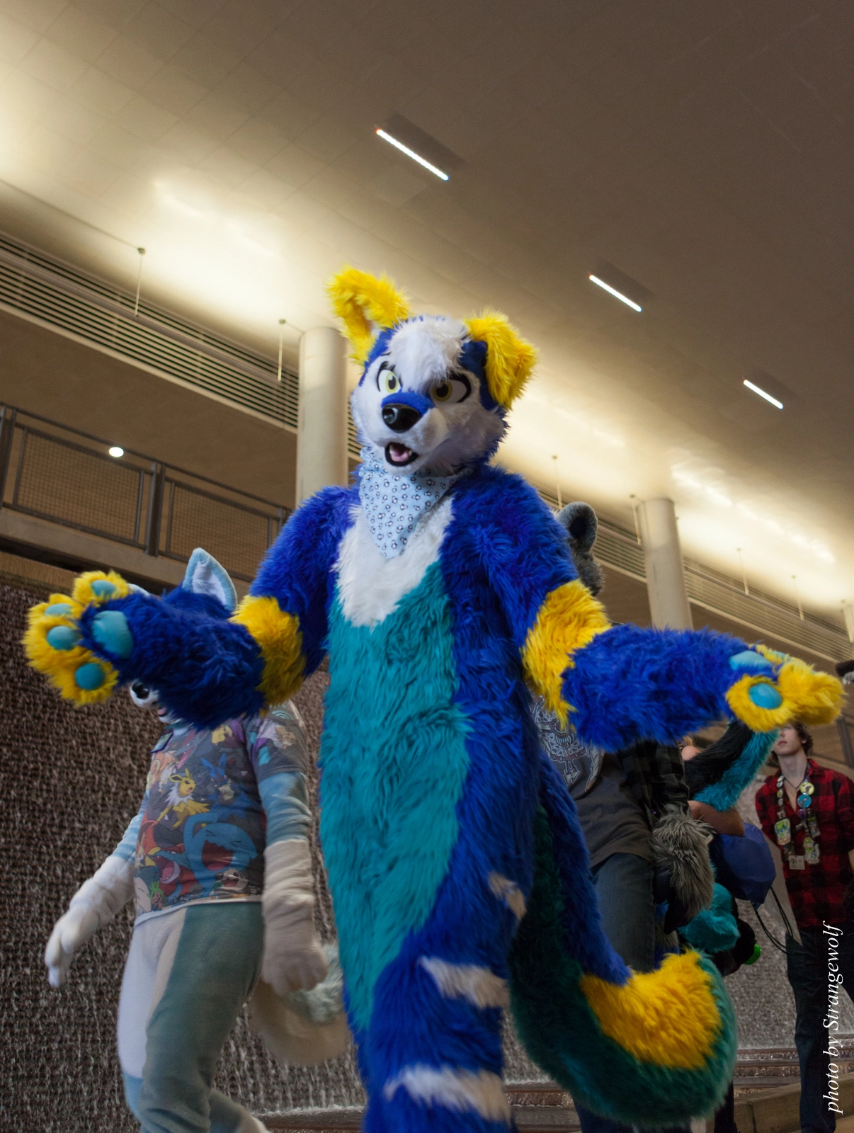 full image IMG_8267-lr16t.jpg