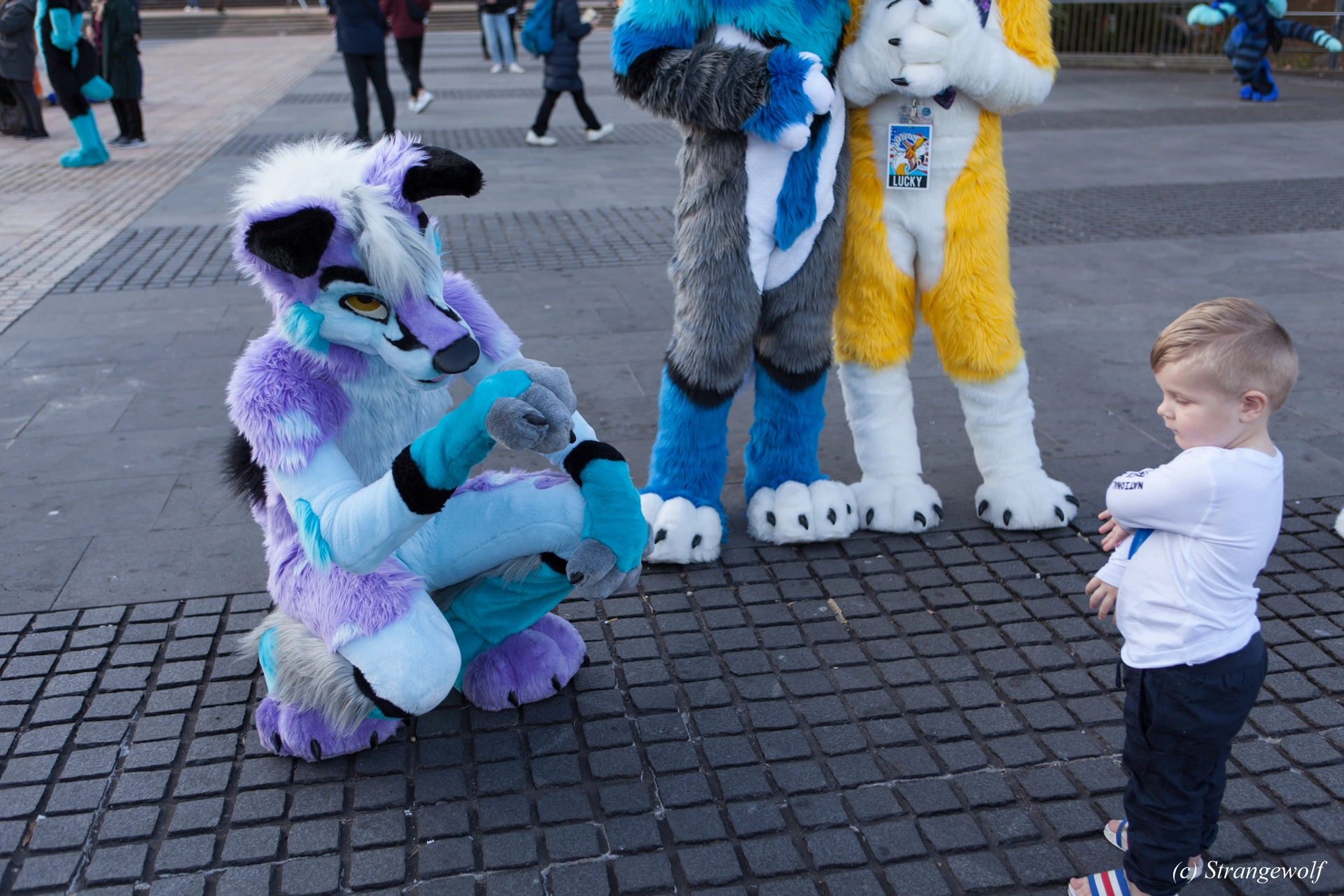 full image IMG_4659-lr19t.jpg