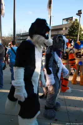 IMG_0726-lr.jpg of MFF/MFF2013/