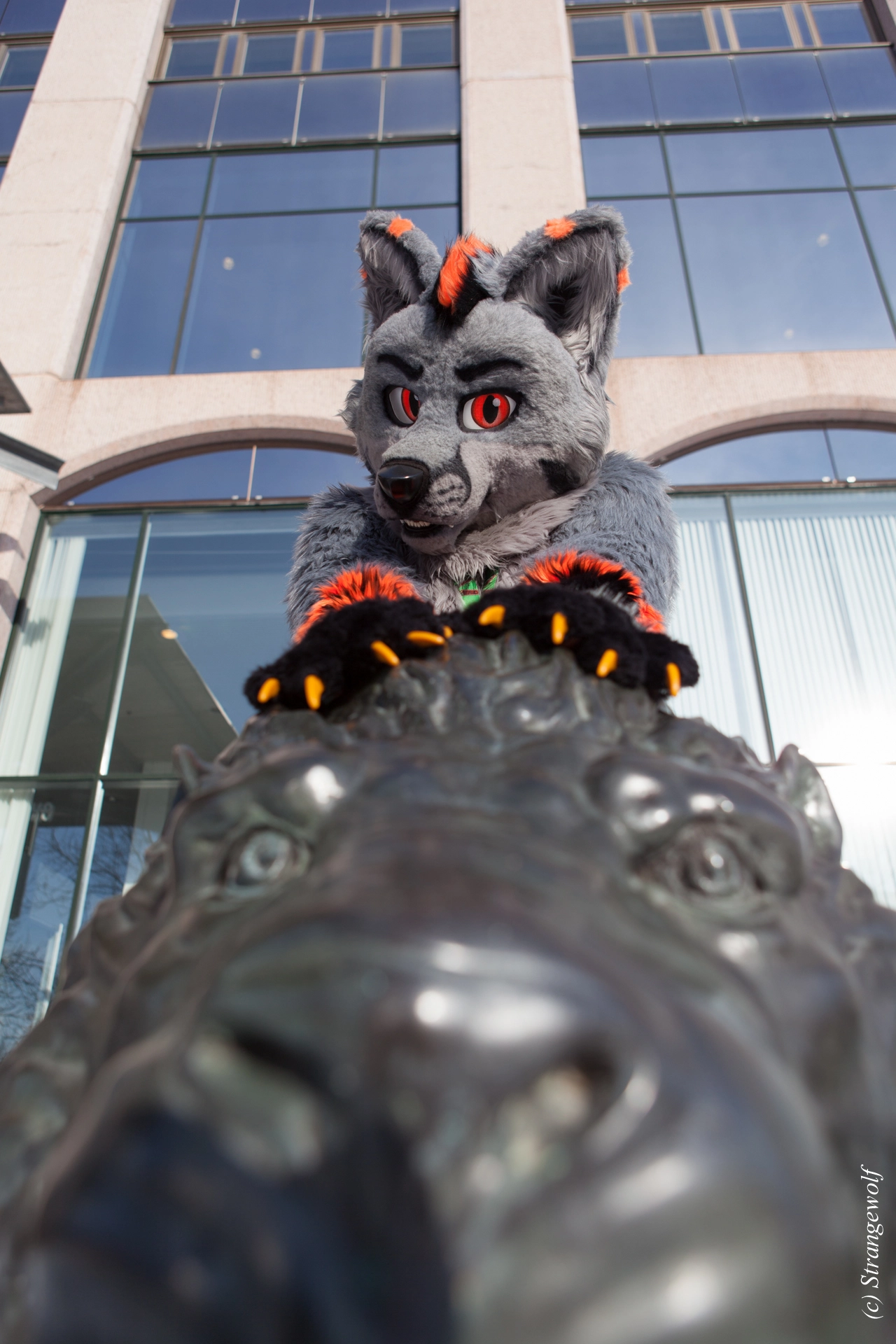 full image IMG_9693-lr19t.jpg