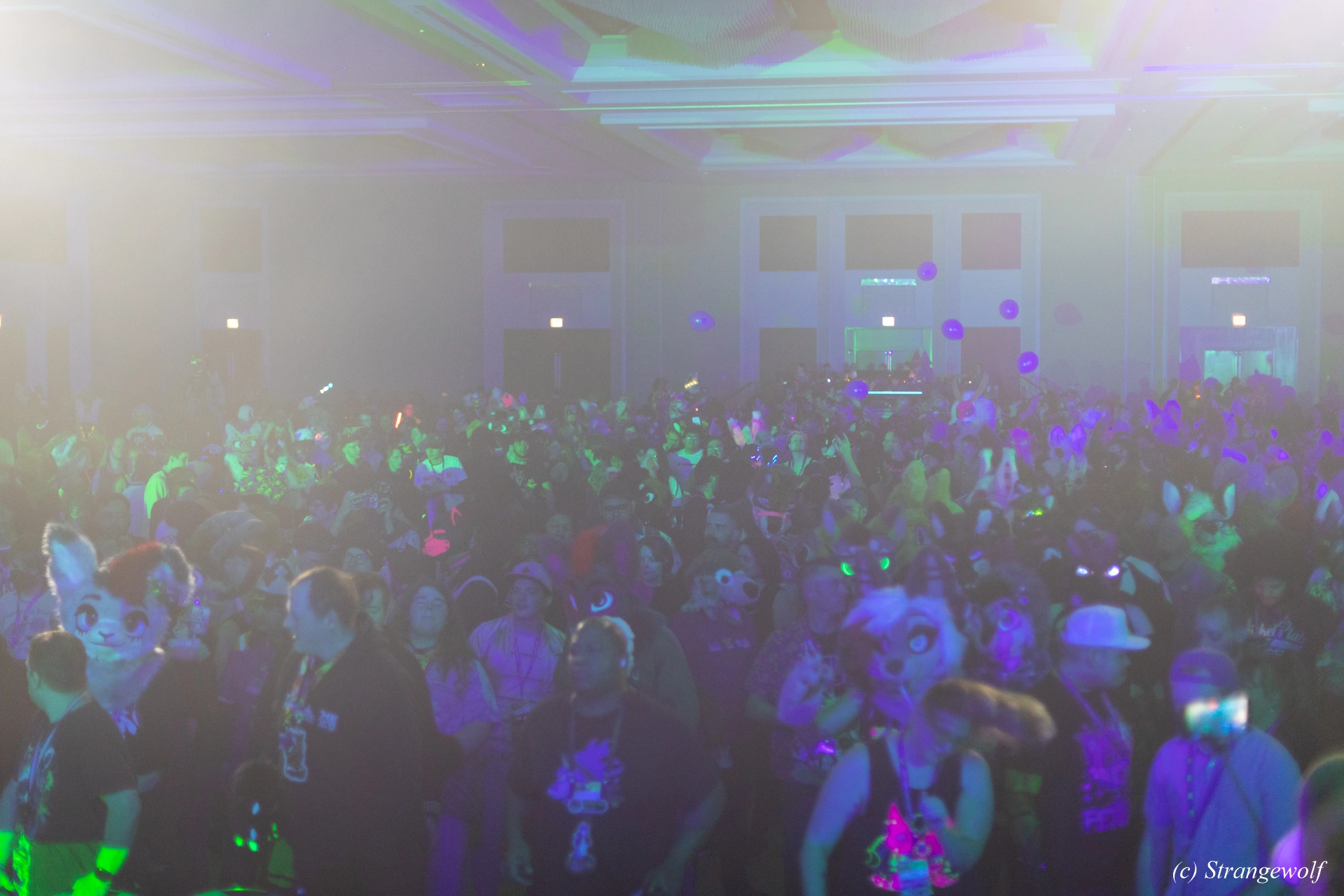 full image 1R3A0545-lr19t.jpg