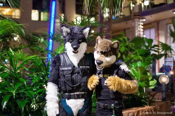 IMG_0728-lr19t.jpg of NFC/NFC2018/