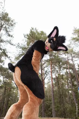 IMG_8602-lr19t.jpg of NFC/NFC2019/Shoot-Strife_Carlito/