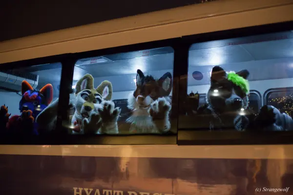 IMG_6591-lr19t.jpg of MFF/MFF2015/