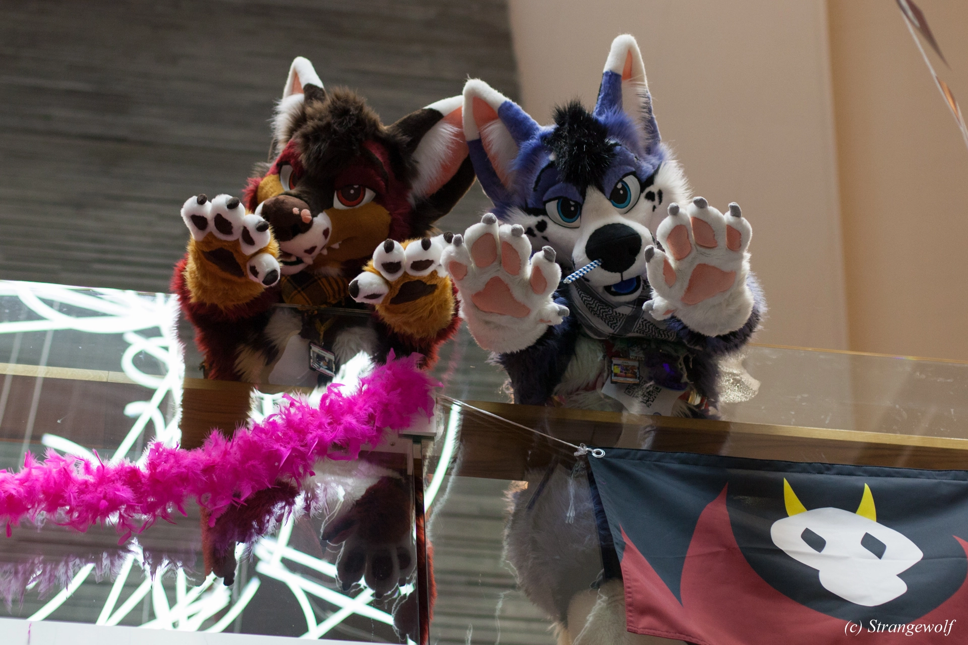 full image IMG_9194-lr19t.jpg