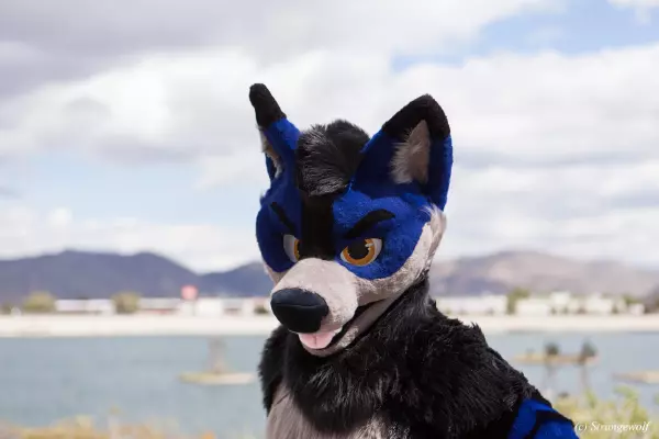 IMG_2731-lr19t.jpg of BLFC/2019/Fotoshoot-Slate/