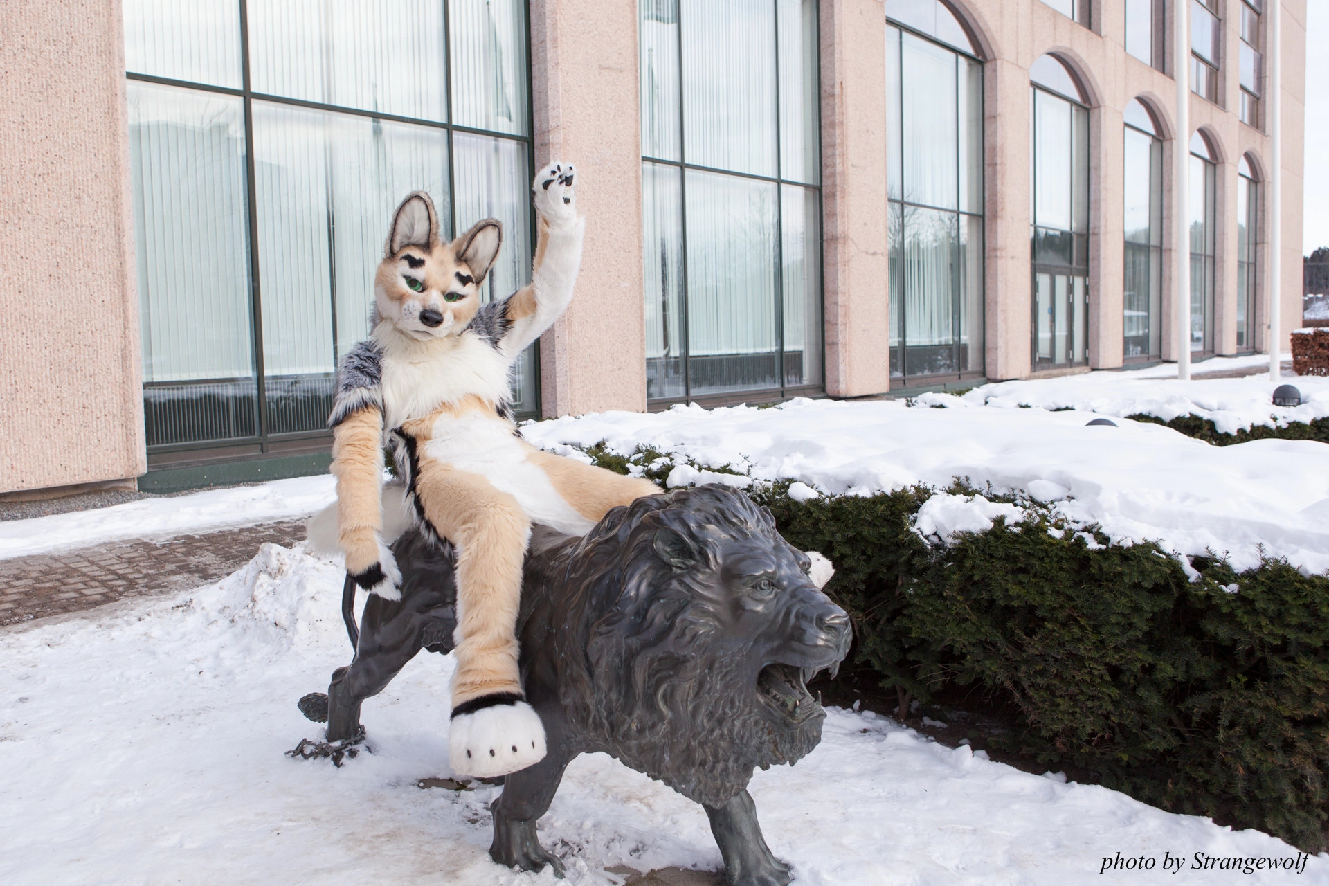 full image IMG_0341-lr19t.jpg