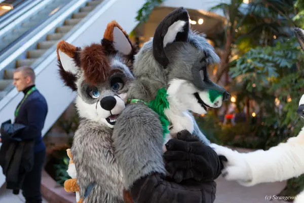 IMG_0184-lr19t.jpg of NFC/NFC2018/