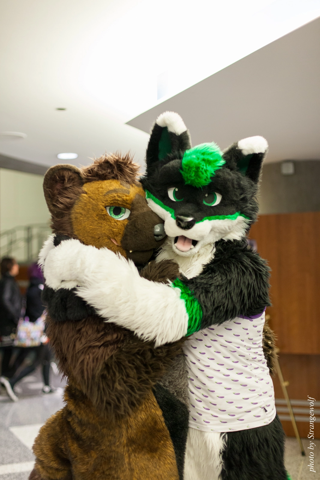 full image IMG_1164-lr16t.jpg