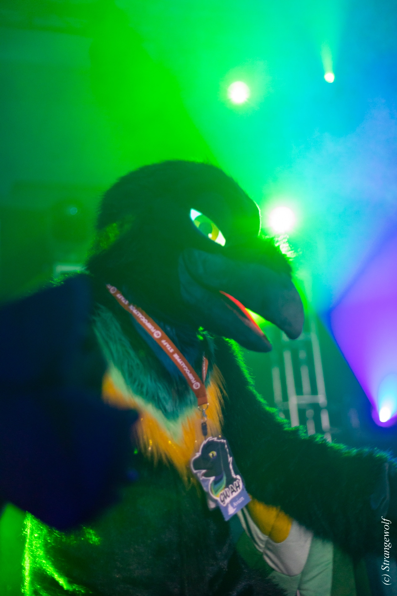 full image 1R3A0551-lr19t.jpg