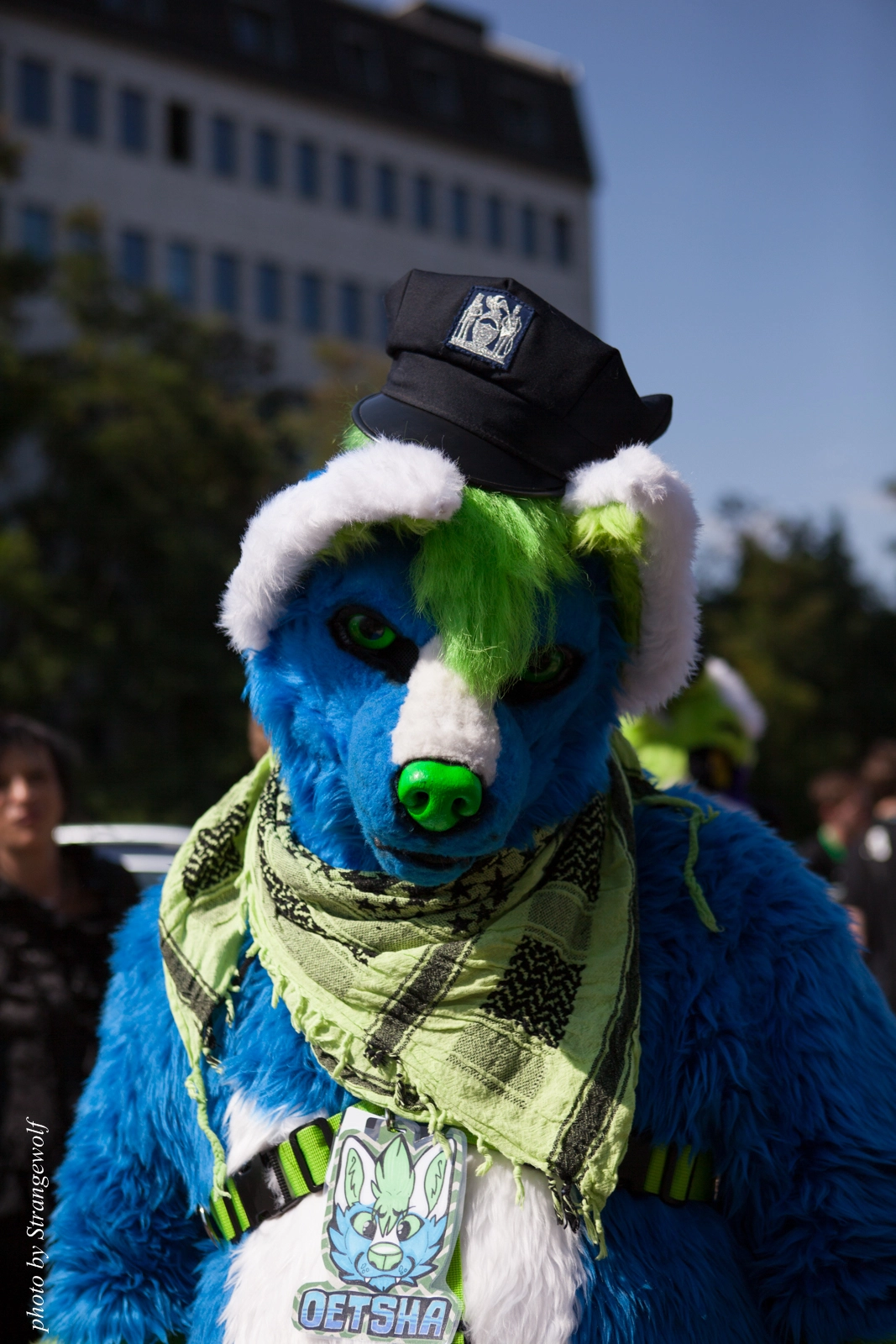 full image IMG_2287-lr16t.jpg