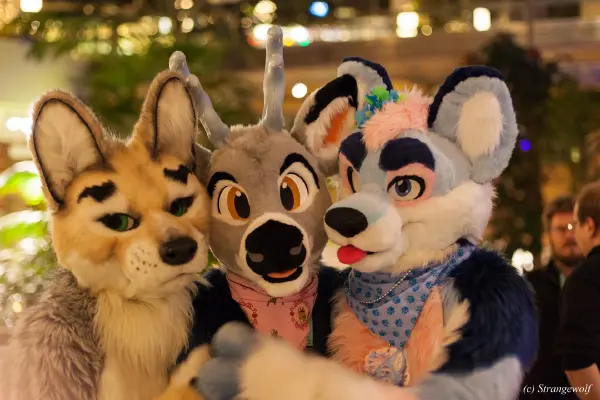 IMG_9703-lr19t.jpg of NFC/NFC2019/