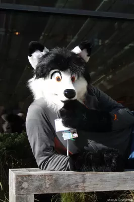IMG_0934-lr.jpg of MFF/MFF2013/