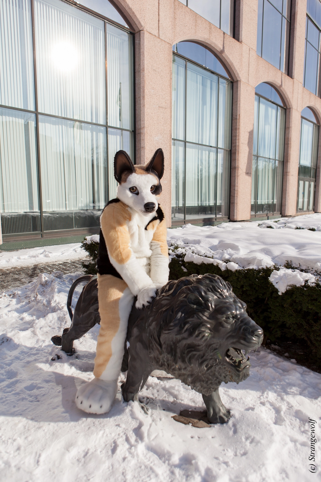 full image IMG_9555-lr19t.jpg