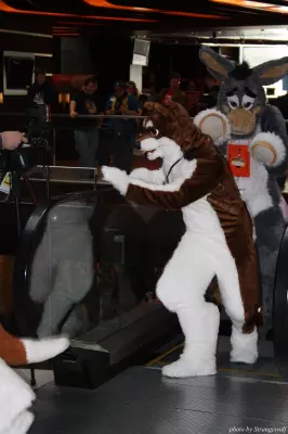 IMG_0599-lr.jpg of MFF/MFF2013/