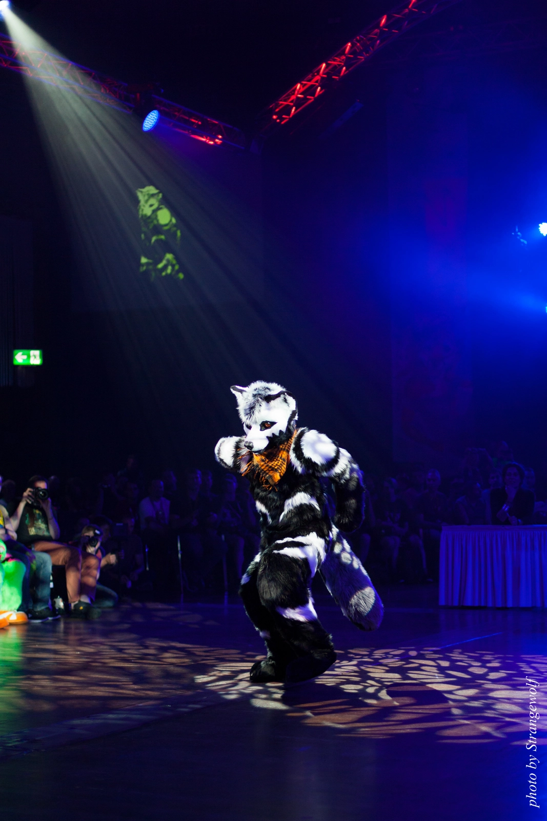 full image IMG_9745-lr16t.jpg