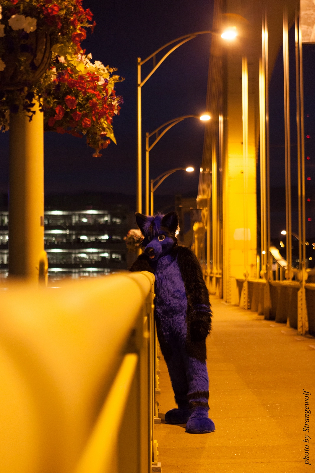 full image IMG_8475-lr16t.jpg