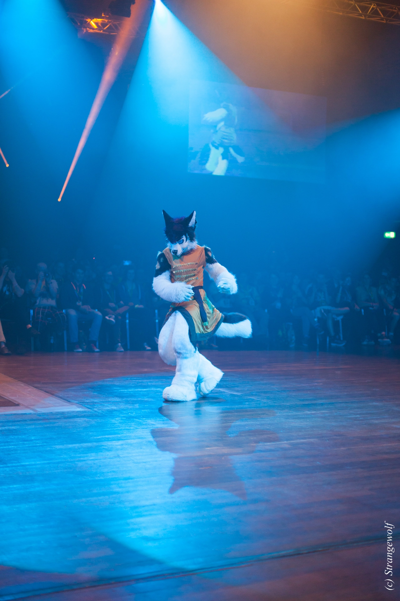 full image IMG_6506-lr19t.jpg