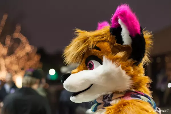 IMG_7328-lr19t.jpg of MFF/MFF2018/