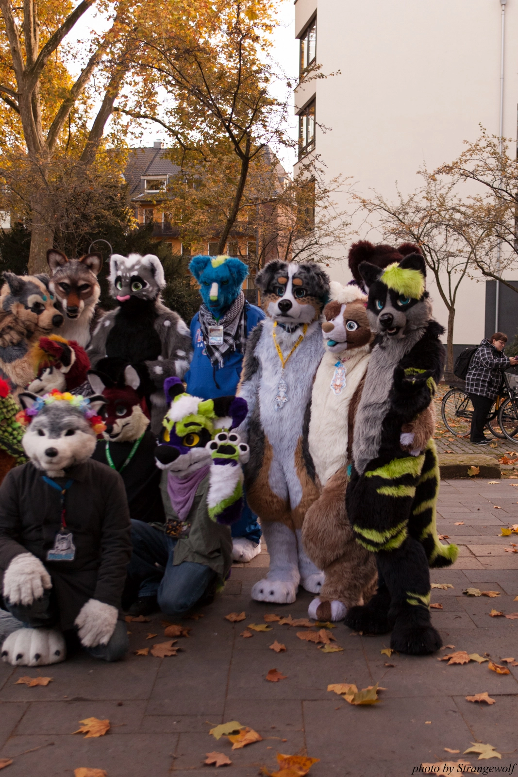 full image IMG_5310-lr16t.jpg