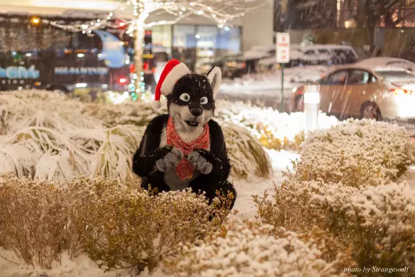 IMG_0831-lr16t.jpg of MFF/MFF2016/