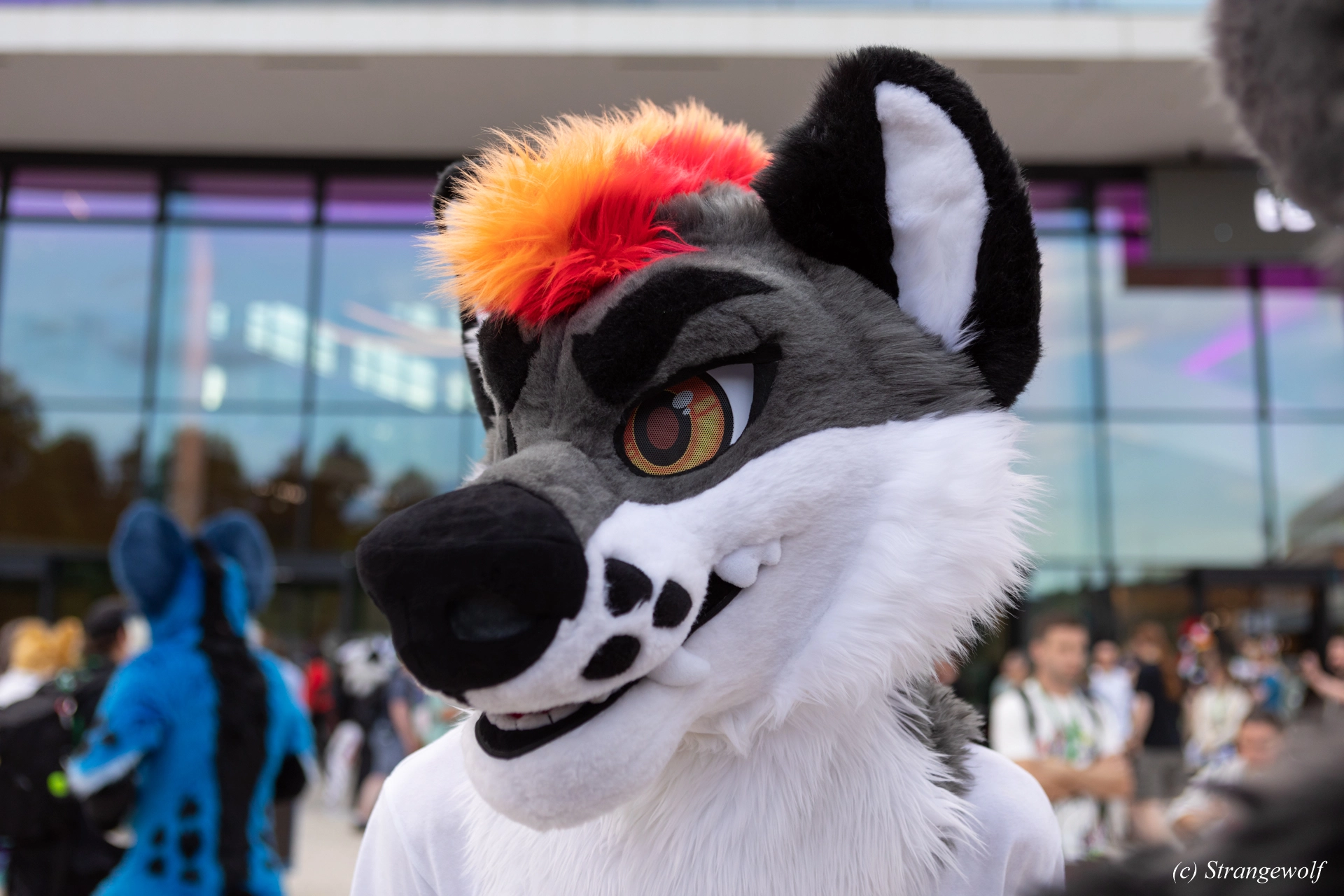 full image 1R3A9164-lr19t.jpg