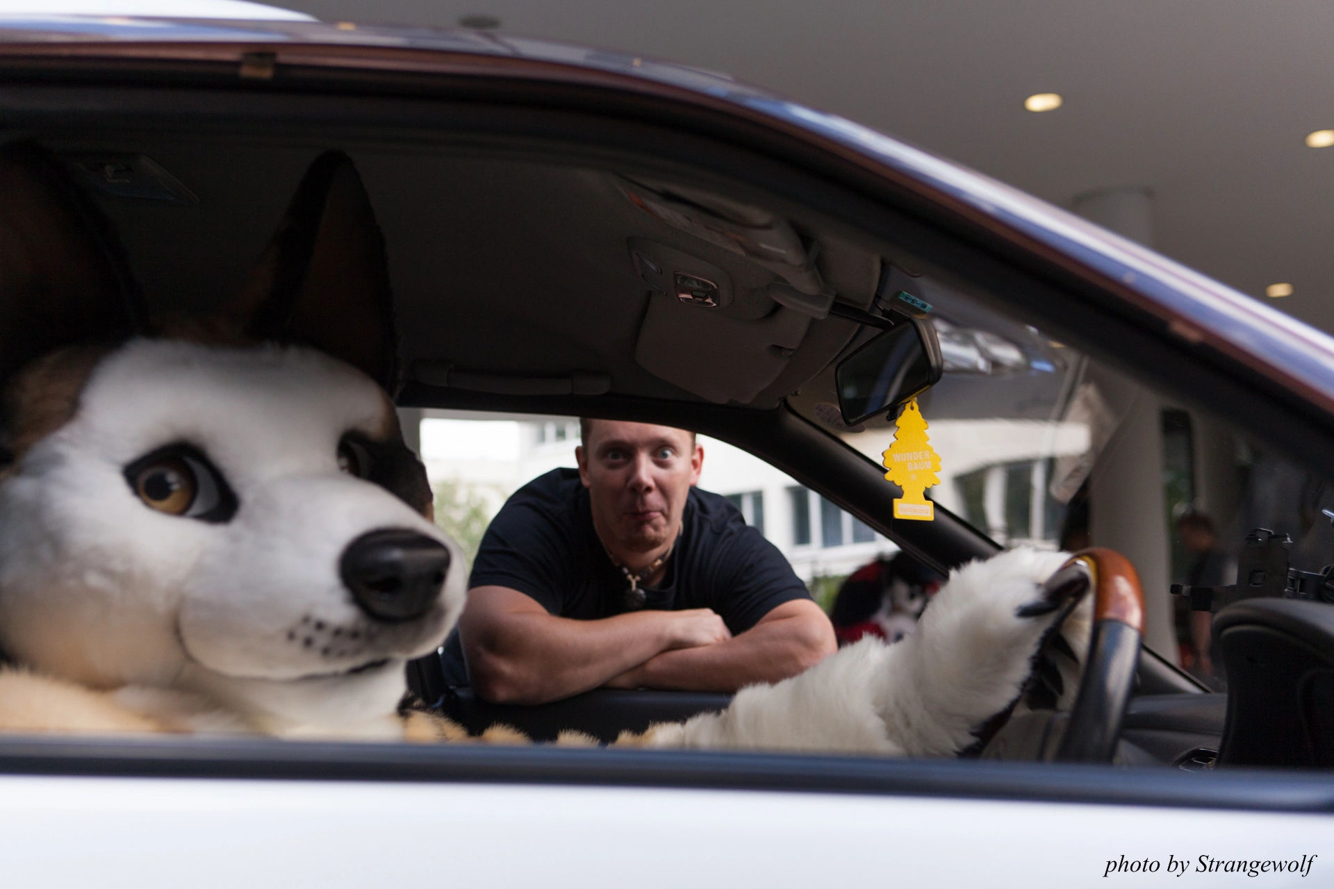 full image IMG_6814-lr19t.jpg