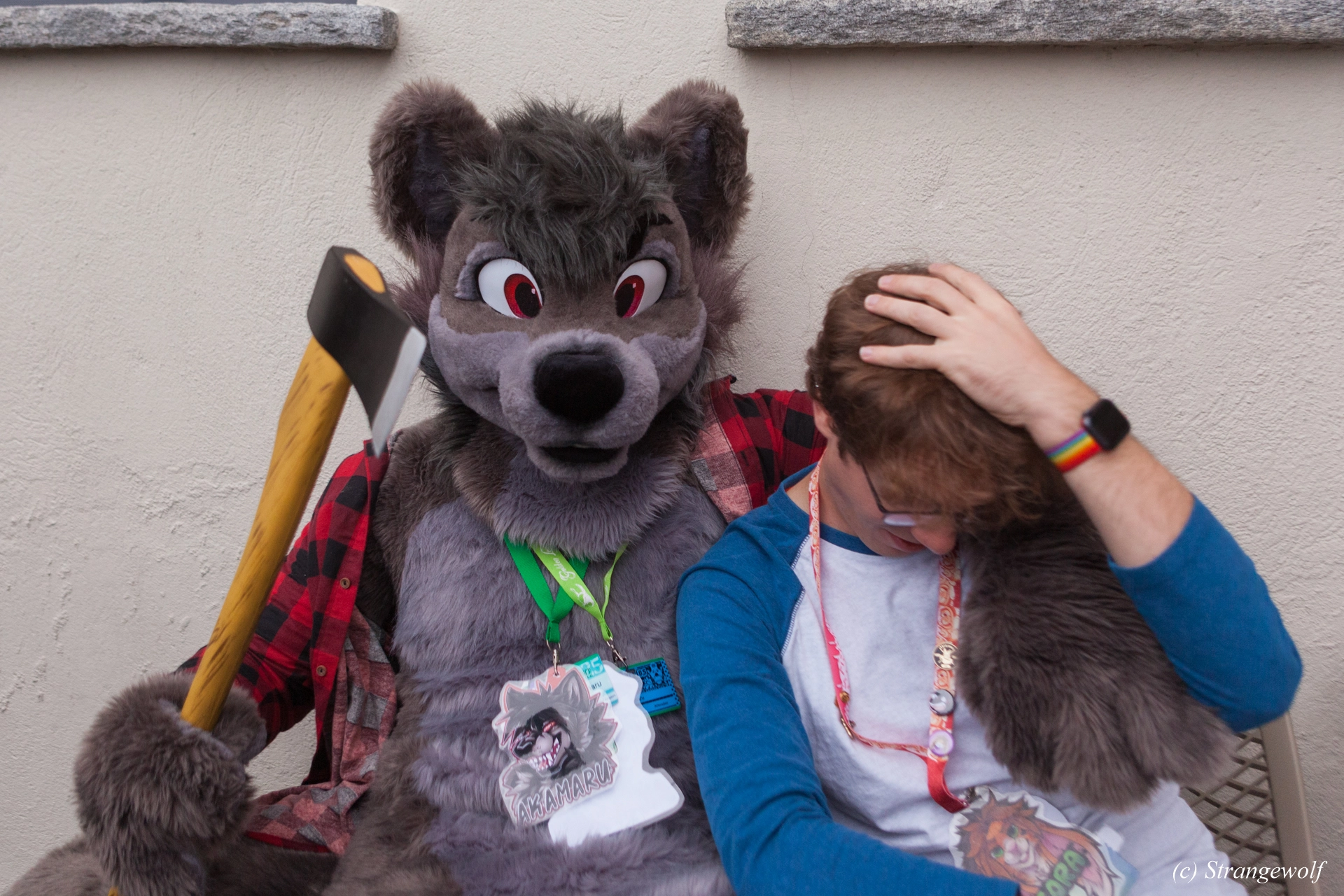 full image IMG_7014-lr19t.jpg