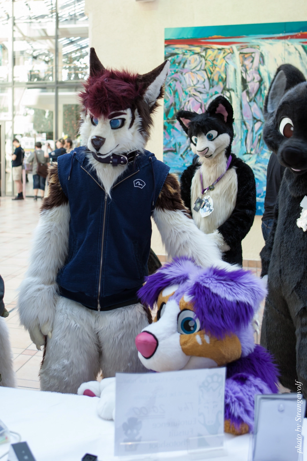 full image IMG_1843-lr16t.jpg