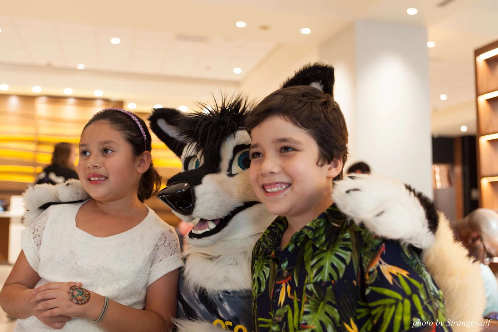 full image IMG_5279-lr16t.jpg